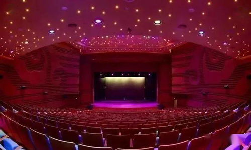 舞動2020 海外桃李杯國際舞蹈展演 報名進行中