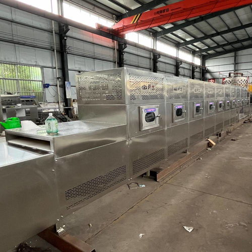 谷物微波烘焙熟化設備科爾核桃微波干燥設備